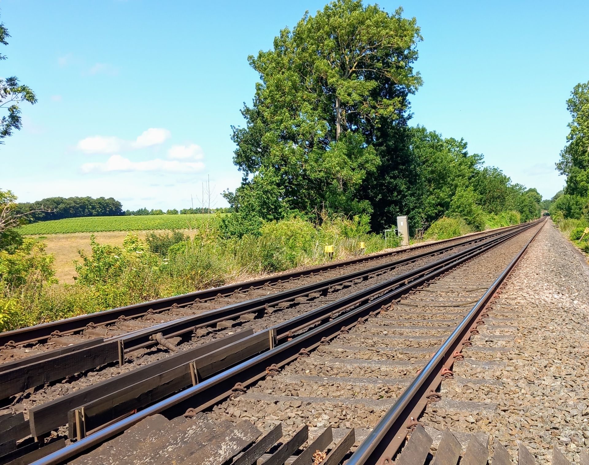 Crossing the railway